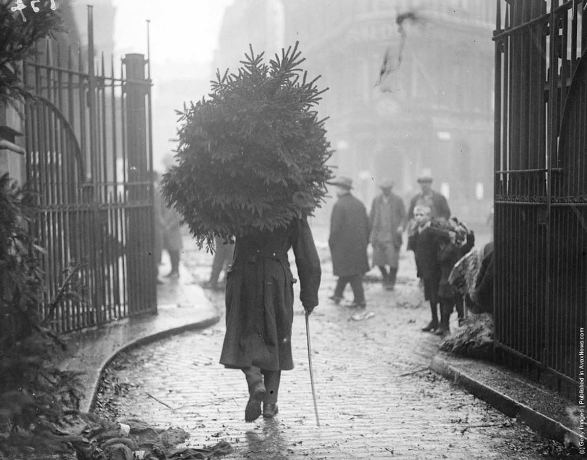 decembrie 1915- "Soldat carand un pom de Crăciun".(Topical Press Agency/Getty Images).