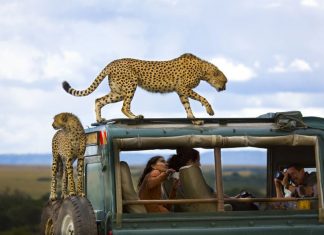 Premiile National Geographic Travel Contest – 2013