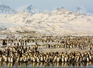 Concursul National Geographic Travel Photographer of the Year 2016 – walpaper – 8 fotografii