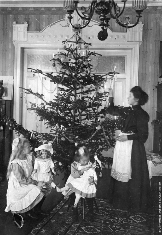 1905(circa) -" Pom de Crăciun intr-un salonaș eduardian." ( Hulton Archive/Getty Images).