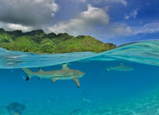 National Geographic Traveler Contest 2014